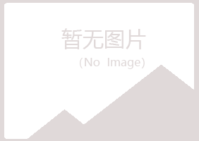 兰山区洒脱能源有限公司